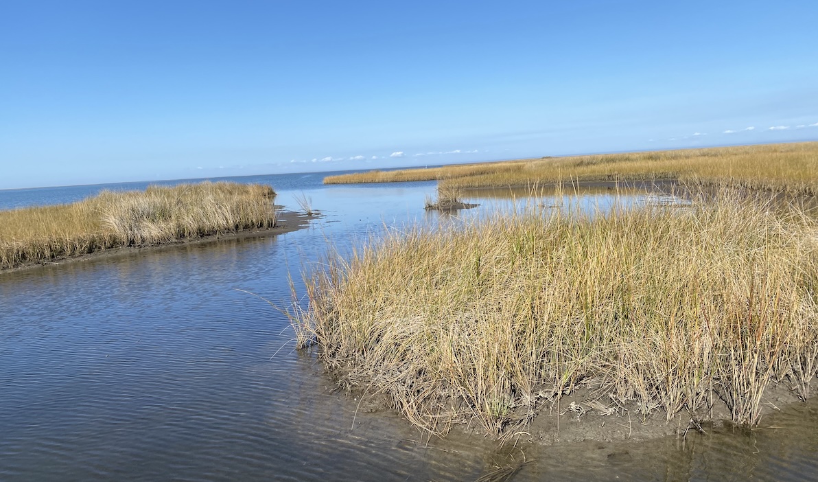 Fly-fishing for Reds 