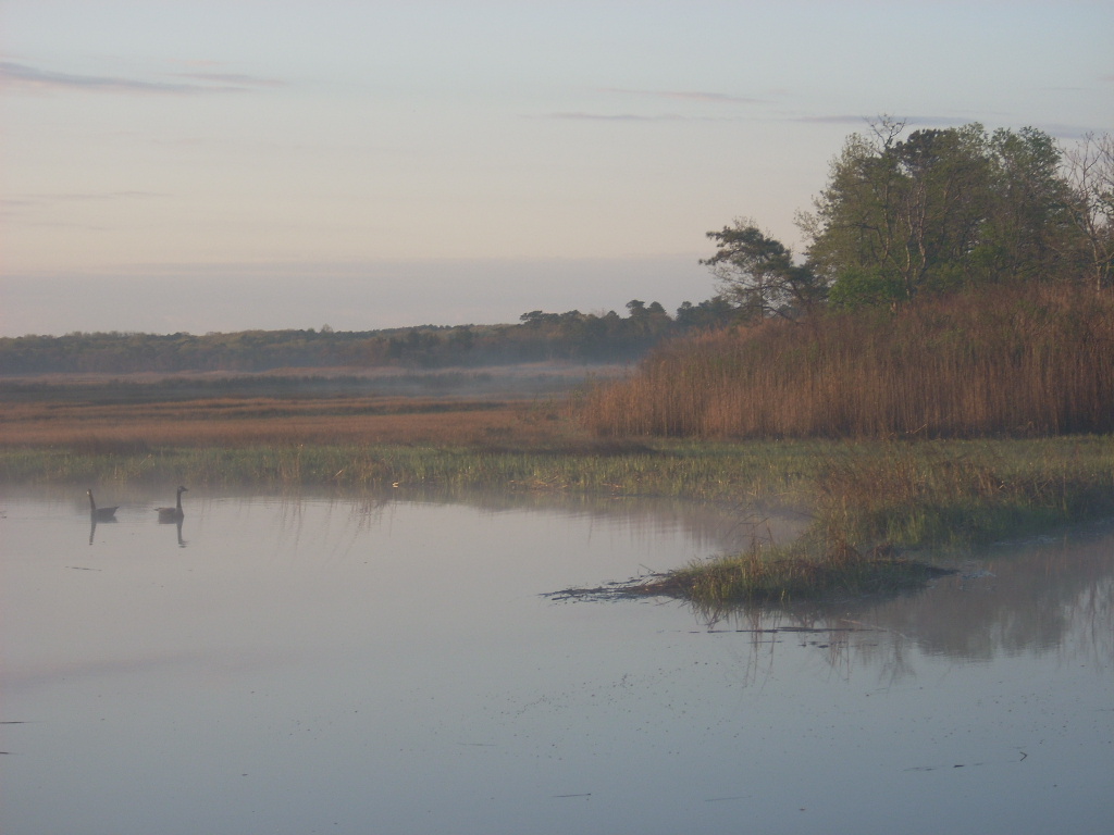 Update Your Lifestyle