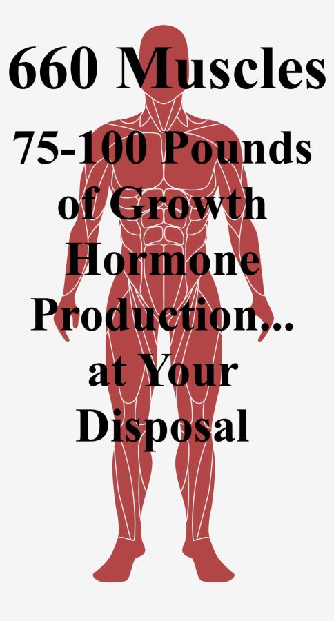 Natural Medicine Hidden in Plain Sight