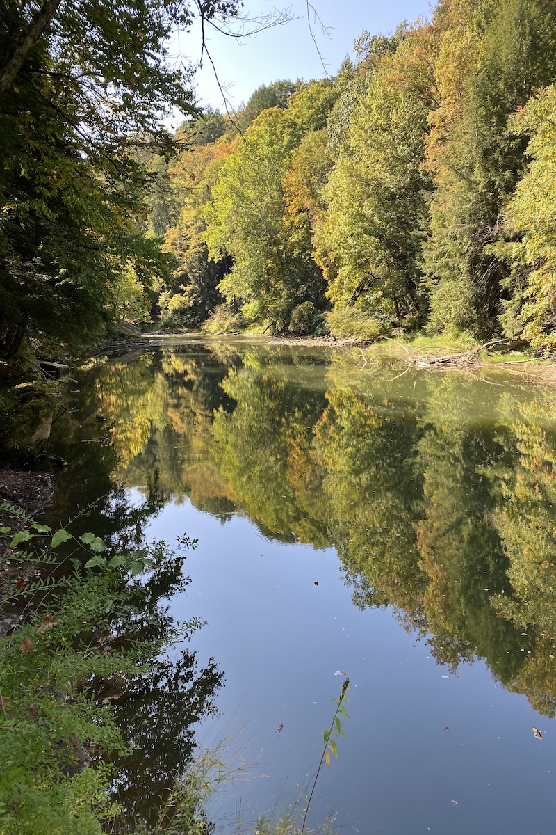 Better as You Age Better as You Age